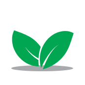 Icon of green leaves to represent ecology